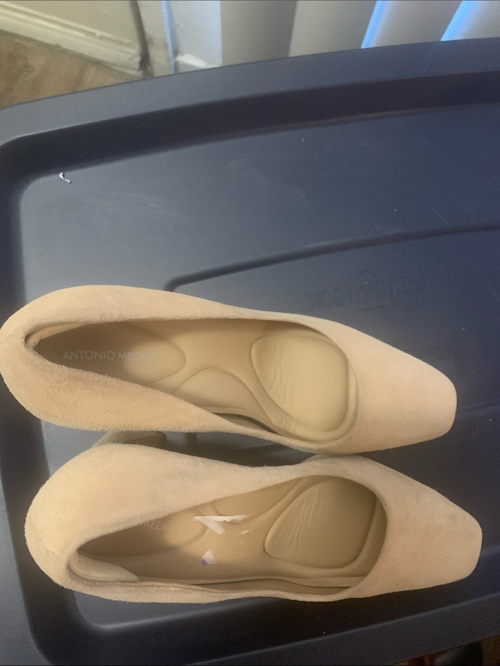 ANTONIO MELANI Beige Suede Pointed Toe Flats